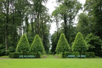 Tala y poda de árboles en altura, Vizcaya y provincia